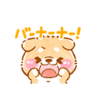 動くこしばちゃん4❤️柴犬子育て児赤ちゃん（個別スタンプ：20）