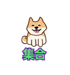 犬味 えぐしゅぎ（個別スタンプ：21）