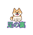 犬味 えぐしゅぎ（個別スタンプ：38）