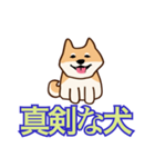 犬味 ほえるな（個別スタンプ：35）
