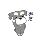 かわいいシュナ犬なんとなく動く2（個別スタンプ：2）