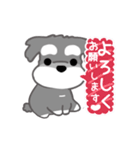 かわいいシュナ犬なんとなく動く2（個別スタンプ：5）