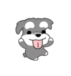 かわいいシュナ犬なんとなく動く2（個別スタンプ：17）