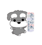 かわいいシュナ犬なんとなく動く2（個別スタンプ：23）