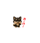 『超ちいさい』3D黒ポメ（個別スタンプ：1）