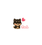 『超ちいさい』3D黒ポメ（個別スタンプ：2）