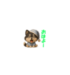『超ちいさい』3D黒ポメ（個別スタンプ：4）