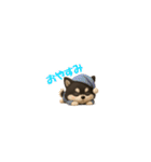 『超ちいさい』3D黒ポメ（個別スタンプ：5）