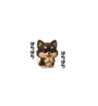 『超ちいさい』3D黒ポメ（個別スタンプ：9）