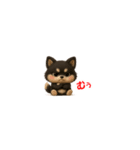 『超ちいさい』3D黒ポメ（個別スタンプ：10）