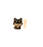 『超ちいさい』3D黒ポメ（個別スタンプ：21）