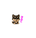 『超ちいさい』3D黒ポメ（個別スタンプ：23）