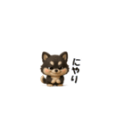 『超ちいさい』3D黒ポメ（個別スタンプ：27）