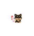 『超ちいさい』3D黒ポメ（個別スタンプ：28）