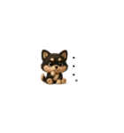 『超ちいさい』3D黒ポメ（個別スタンプ：29）