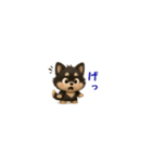 『超ちいさい』3D黒ポメ（個別スタンプ：30）
