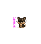 『超ちいさい』3D黒ポメ（個別スタンプ：31）