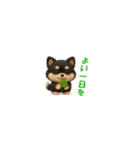 『超ちいさい』3D黒ポメ（個別スタンプ：35）