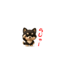 『超ちいさい』3D黒ポメ（個別スタンプ：39）