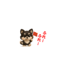 『超ちいさい』3D黒ポメ（個別スタンプ：40）