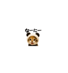 ちいさいスタンプ♪子猫の日常フレーズ（個別スタンプ：14）