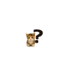 ちいさいスタンプ♪子猫の日常フレーズ（個別スタンプ：22）