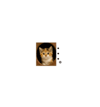 ちいさいスタンプ♪子猫の日常フレーズ（個別スタンプ：23）