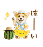 ⚡飛び出すコーギーの「夏」の毎日（個別スタンプ：1）