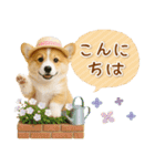 ⚡飛び出すコーギーの「夏」の毎日（個別スタンプ：6）