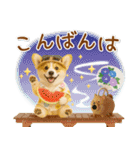 ⚡飛び出すコーギーの「夏」の毎日（個別スタンプ：7）