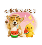 ⚡飛び出すコーギーの「夏」の毎日（個別スタンプ：11）
