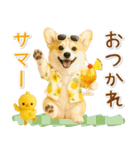 ⚡飛び出すコーギーの「夏」の毎日（個別スタンプ：13）