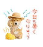 ⚡飛び出すコーギーの「夏」の毎日（個別スタンプ：14）