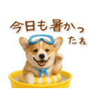 ⚡飛び出すコーギーの「夏」の毎日（個別スタンプ：15）