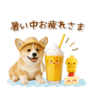 ⚡飛び出すコーギーの「夏」の毎日（個別スタンプ：16）