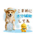 ⚡飛び出すコーギーの「夏」の毎日（個別スタンプ：19）