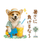 ⚡飛び出すコーギーの「夏」の毎日（個別スタンプ：20）