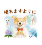 ⚡飛び出すコーギーの「夏」の毎日（個別スタンプ：22）
