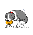 名前入りボーダーコリーブルー（個別スタンプ：4）