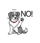 名前入りボーダーコリーブルー（個別スタンプ：7）