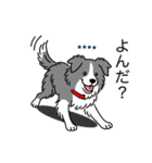 名前入りボーダーコリーブルー（個別スタンプ：9）