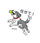 名前入りボーダーコリーブルー（個別スタンプ：12）