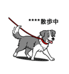 名前入りボーダーコリーブルー（個別スタンプ：13）