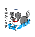 名前入りボーダーコリーブルー（個別スタンプ：14）