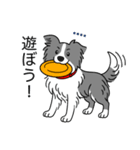 名前入りボーダーコリーブルー（個別スタンプ：15）