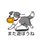 名前入りボーダーコリーブルー（個別スタンプ：17）