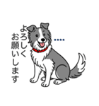 名前入りボーダーコリーブルー（個別スタンプ：18）