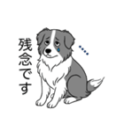 名前入りボーダーコリーブルー（個別スタンプ：19）