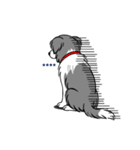 名前入りボーダーコリーブルー（個別スタンプ：22）