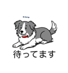 名前入りボーダーコリーブルー（個別スタンプ：23）